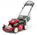 Toro 20955 resim