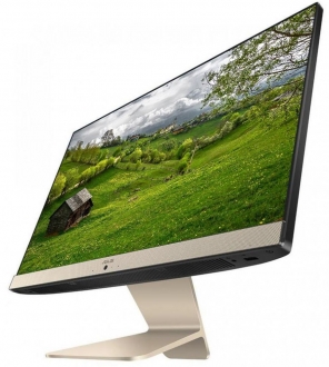 Asus Vivo V222FAK-BA025M