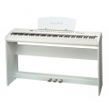 Chloris CDU-55 resim