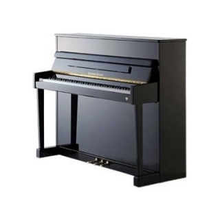 Eduard Seiler Model 116 Solist