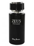 Kelsey Berwin Zeus EDP 100 ml Erkek Parfümü resim