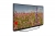 Grundig Belgrad 65 GFU 7905 B Ultra HD (4K) TV