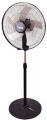 Tanq Frozen Plus 18 resim