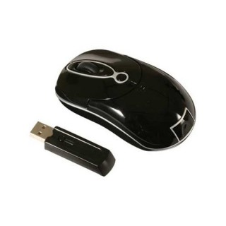 Everest SP-R11 Mouse