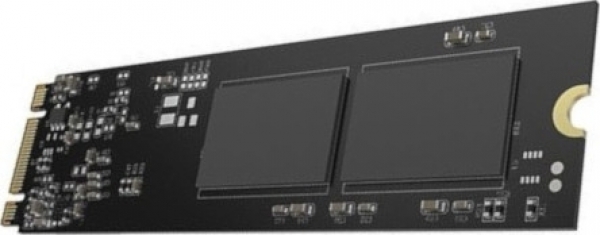 Hikvision E100NI SSD (256 GB)