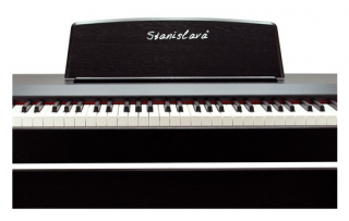 Stanislava Hammer Action STDP304