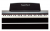 Stanislava Hammer Action STDP304