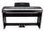Stanislava Hammer Action STDP304