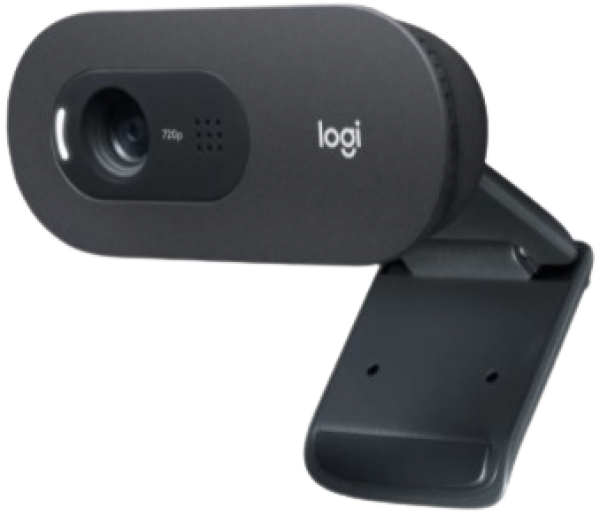 Logitech C505 Webcam