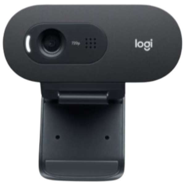 Logitech C505 Webcam