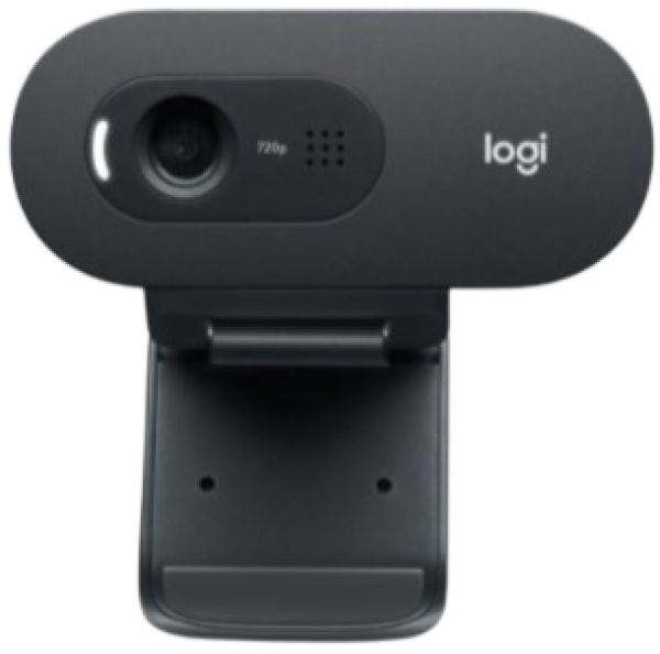 Logitech C505E Webcam