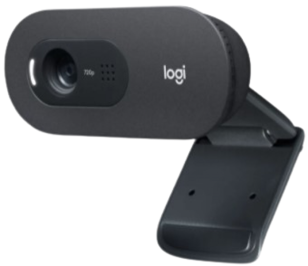 Logitech C505E Webcam
