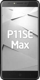 Reeder P11SE Max resim