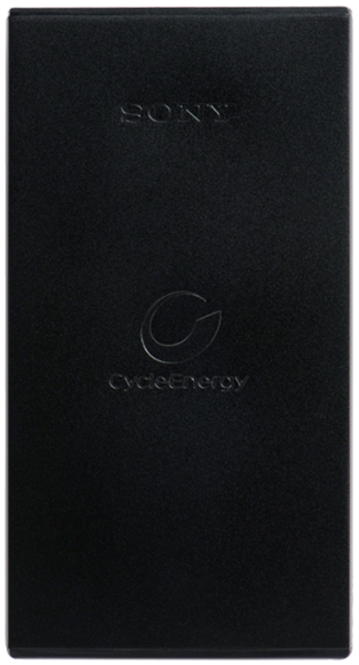 Sony CP-F10L 10000 mAh Powerbank