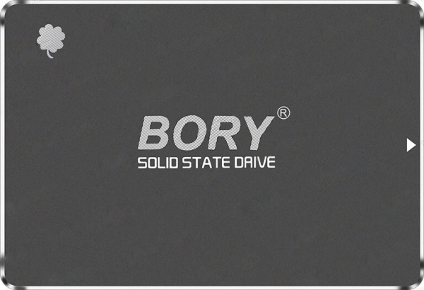 Bory SSD01-C128G SSD (128 GB)