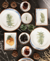 Porland Areca resim