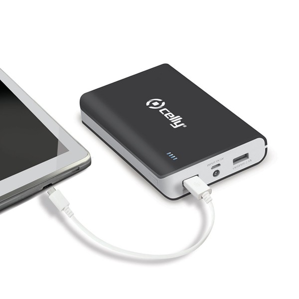 Celly PB10000 10000 mAh Powerbank