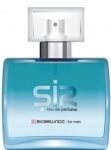 BioBellinda Sir EDP 50 ml Erkek Parfümü resim