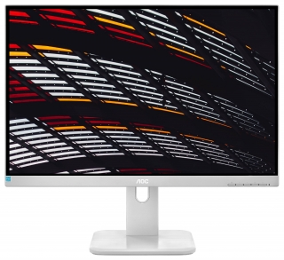 AOC X24P1/GR Monitör