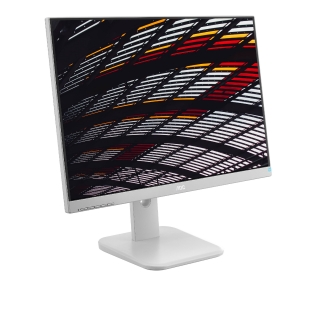 AOC X24P1/GR Monitör