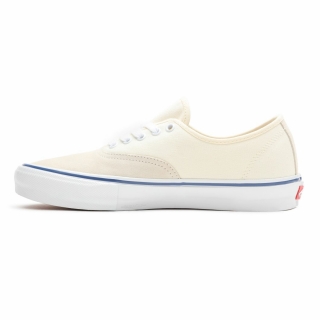 Vans Skate Authentic Erkek Spor Ayakkabı