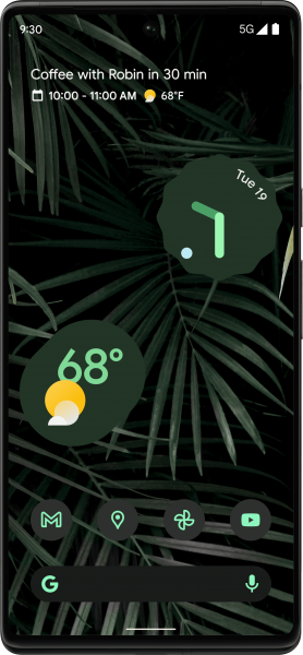 Google Pixel 6 Pro