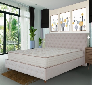 Zmattress Pure Sleep 100x200 cm Yaylı Yatak