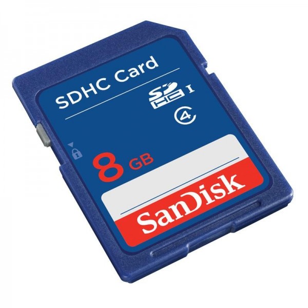 Sandisk SDHC SD (8 GB)