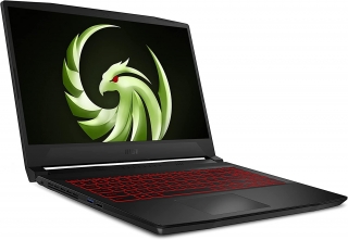 MSI Bravo 15 B5DD-021XTR Laptop
