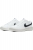 Nike Court Royale 2 Erkek Spor Ayakkabı