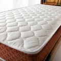 P.C Parrot Eltix 90x180 cm resim