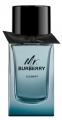 Burberry Mr. Burberry Element EDT 150 ml Erkek Parfümü Parfüm