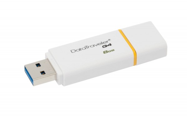 Kingston DataTraveler G4 Flash Bellek (8 GB)