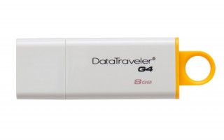 Kingston DataTraveler G4 Flash Bellek