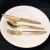 Hisar Mercury Gold 84 Parça Çatal Kaşık Bıçak Takımı