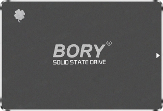 Bory SSD01-C960G SSD