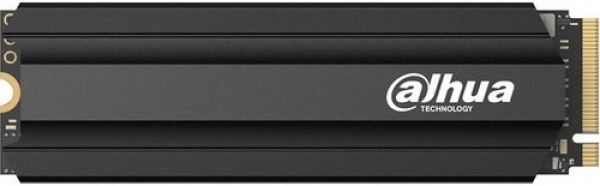 Dahua SSD-E900N256G SSD (256 GB)