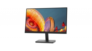 Lenovo L24e-30 Monitör