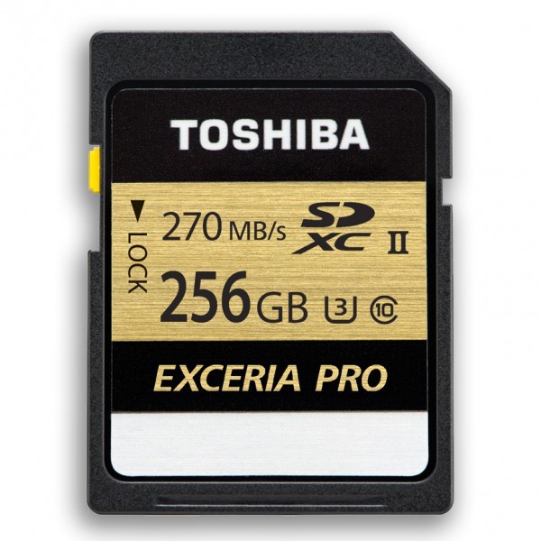 Toshiba Exceria Pro N501 SD (256 GB)
