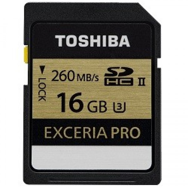 Toshiba Exceria Pro N101 SD (16 GB)
