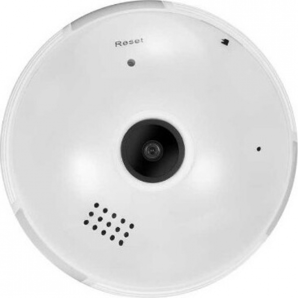 PaleTech KL-B13