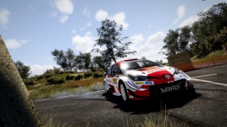 WRC 10 FIA World Rally Championship Deluxe Edition PC