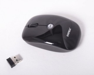 Everest SM-201B Mouse
