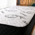 P.C Parrot Atlas 120x180 cm resim