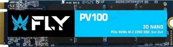 Fly PV100 SSD (256 GB)