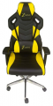 Z-Drive Swan resim