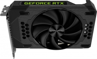 Gainward GeForce RTX 3060 Pegasus OC Ekran Kartı