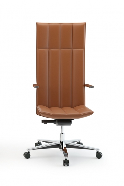 Bürotime Ronin CHR-A0010 Yönetici Koltuğu