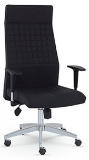 Mezura Ofis Axis Çalışma Koltuğu