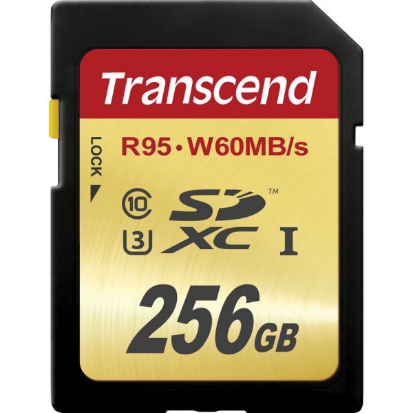 Transcend TS256GSDU3 SD (256 GB)